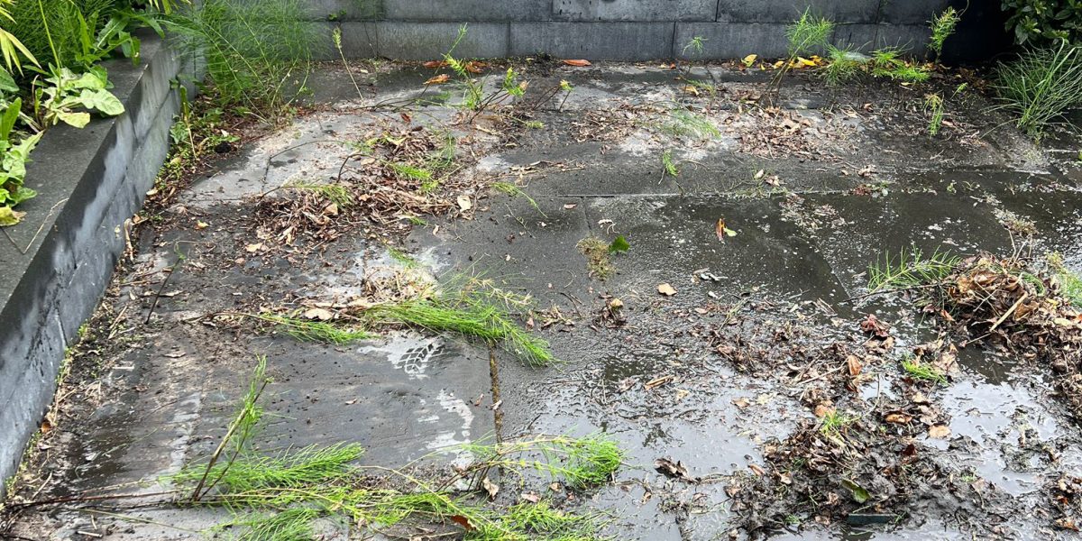 Hovenier Leiden - Tuinman - De Tuinenpoetser